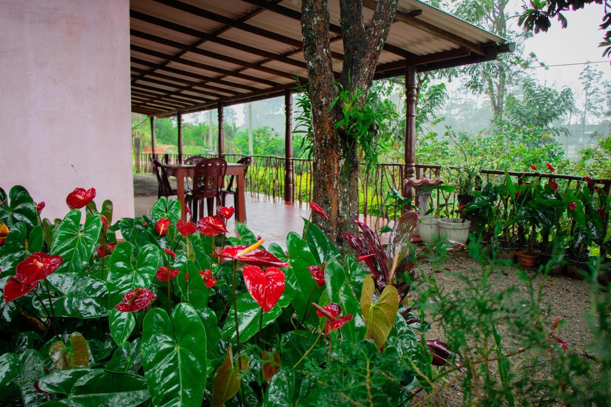Nine Arch Homestay Ella Exteriér fotografie